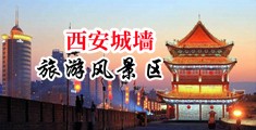 亚洲无码黄色网站操大骚逼中国陕西-西安城墙旅游风景区