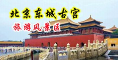 插骚屄视频中国北京-东城古宫旅游风景区